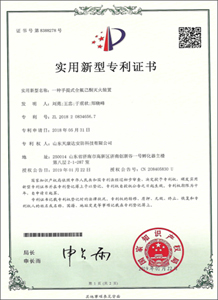实用新型专利证书10